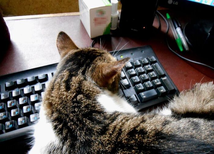 ��������� �� ������� �����