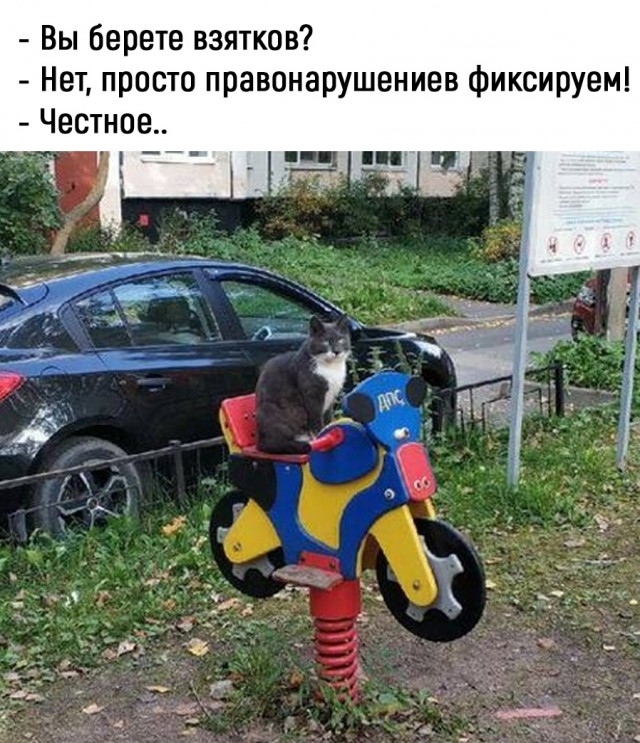 Пушистый ДПСник