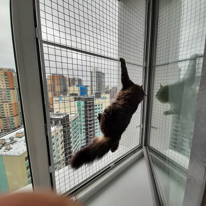 -"" ,   , , , 
