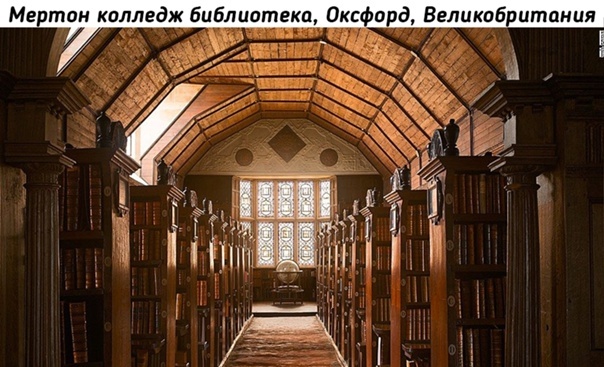 Libraries of the world - Longpost, Library, Beautiful, Interesting, Building