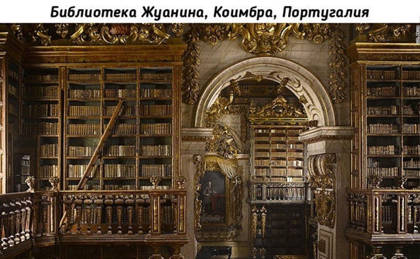 Libraries of the world - Longpost, Library, Beautiful, Interesting, Building