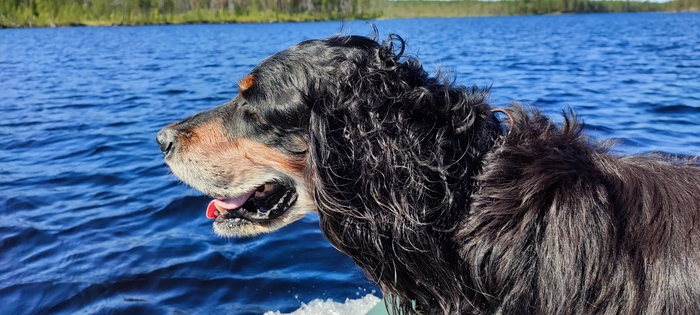 ������, ���� ����, ������, �������, ������, ������, ������, ������, ������, ������, ��������