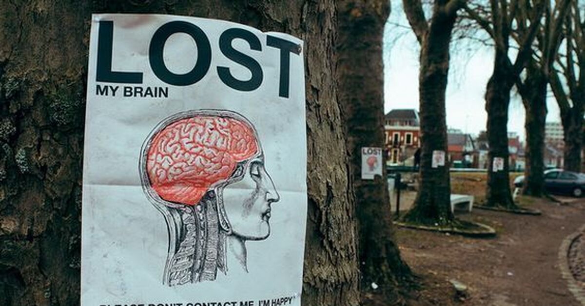 Lost brain. Мозг потерялся. Объявление пропали мозги. Картинка где потерялся мозг.