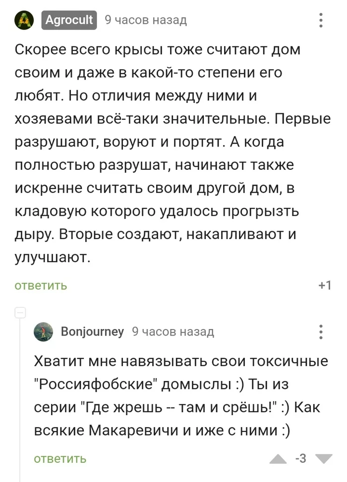 Вынесу из каментов. Who am I? - Моё, Будущее, Ответ на пост, Инициатива, Активисты, Патриотизм, Логика, Спор, Видео, YouTube, Длиннопост, Скриншот