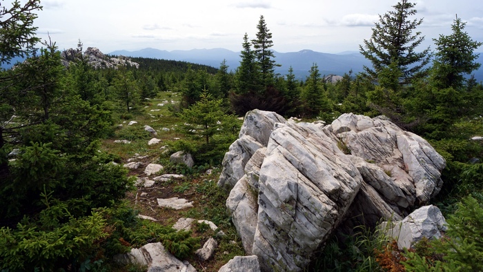 Национальный парк «Зюраткуль». Общая площадь — 88 249 гектаров Урал, Национальный парк, Зюраткуль, Челябинская область, Горы, Озеро, Горный туризм, Природа России, Путешествие по России, Поход, Палатка, Туристы, Туризм, Лось, Лес, Скалы, Облака, Фотография, Природа, Дикая природа, Длиннопост