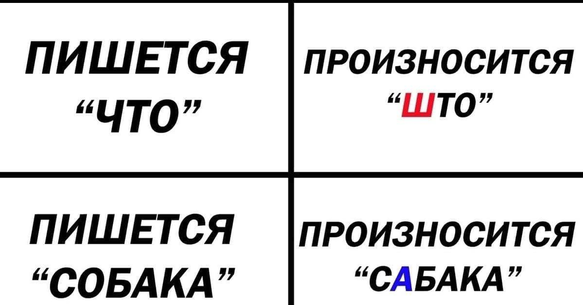 Получше как пишется. Собака пишется. Правописание собачонка. Пишется что произносится што. Чтобы пишется.