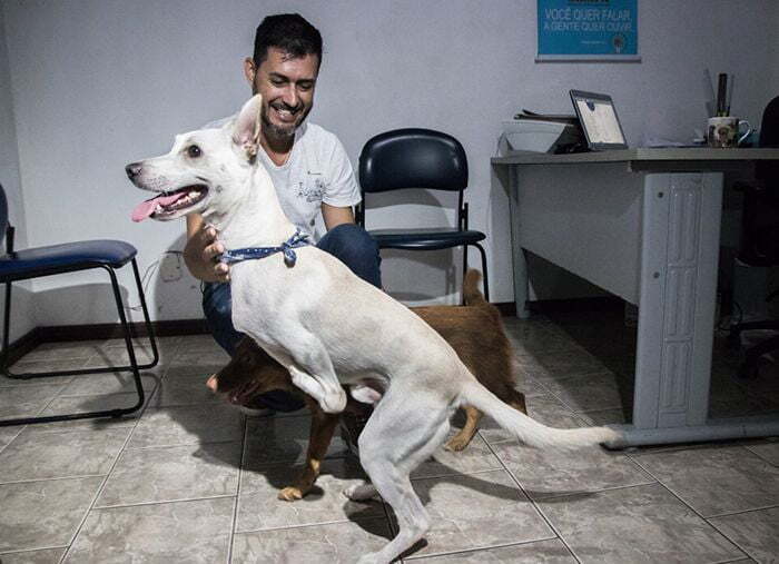 The worst person on the planet - Dog, Brazil, Shelter, Video, Soundless, Cruelty