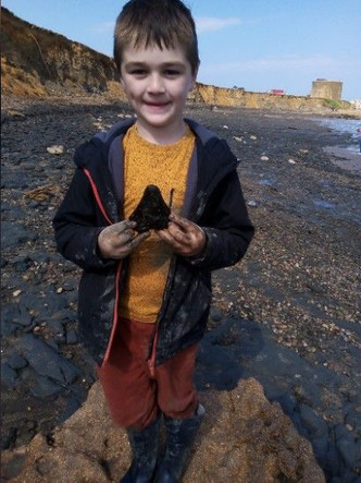 6-year-old Briton found a megalodon tooth on the seashore - Megalodon, Extinct species, Teeth, Find, Paleontology, Boy, Luck, Great Britain, England, Shark, Prehistoric animals, Beach, Around the world, Longpost