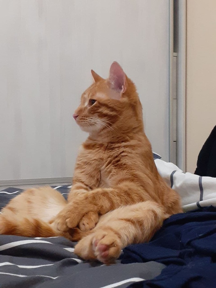 ����-����������