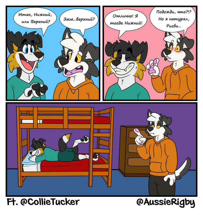    ? ,  , , Furry Canine, Furry Dog,  , 