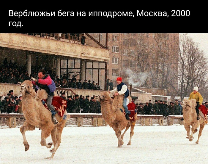 ��������� ����