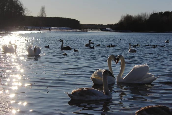 Warmth in the middle of winter - My, Canon, The photo, Minsk