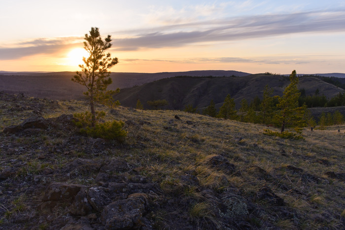 ����� ������