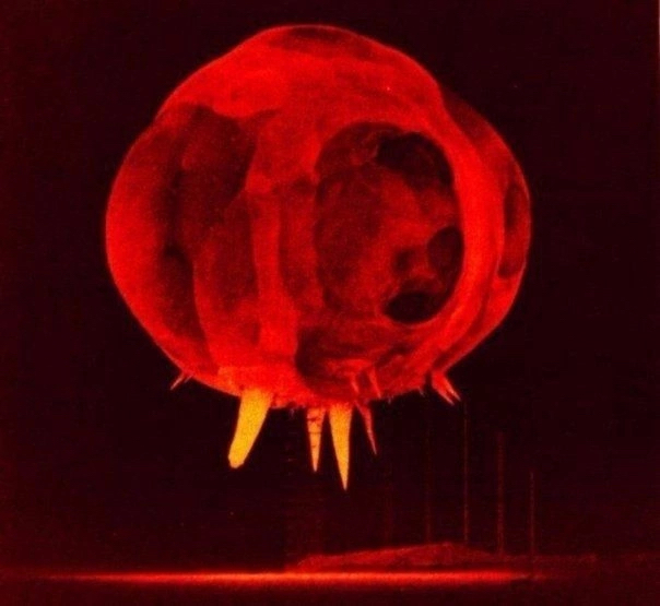 The moment of a nuclear explosion - Nuclear explosion, Moment, The photo, Explosion, Epicenter, Detonation, The science, Nuclear tests, Informative