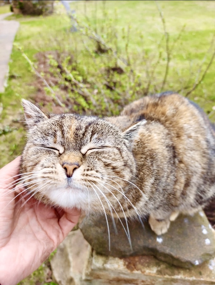 ������...