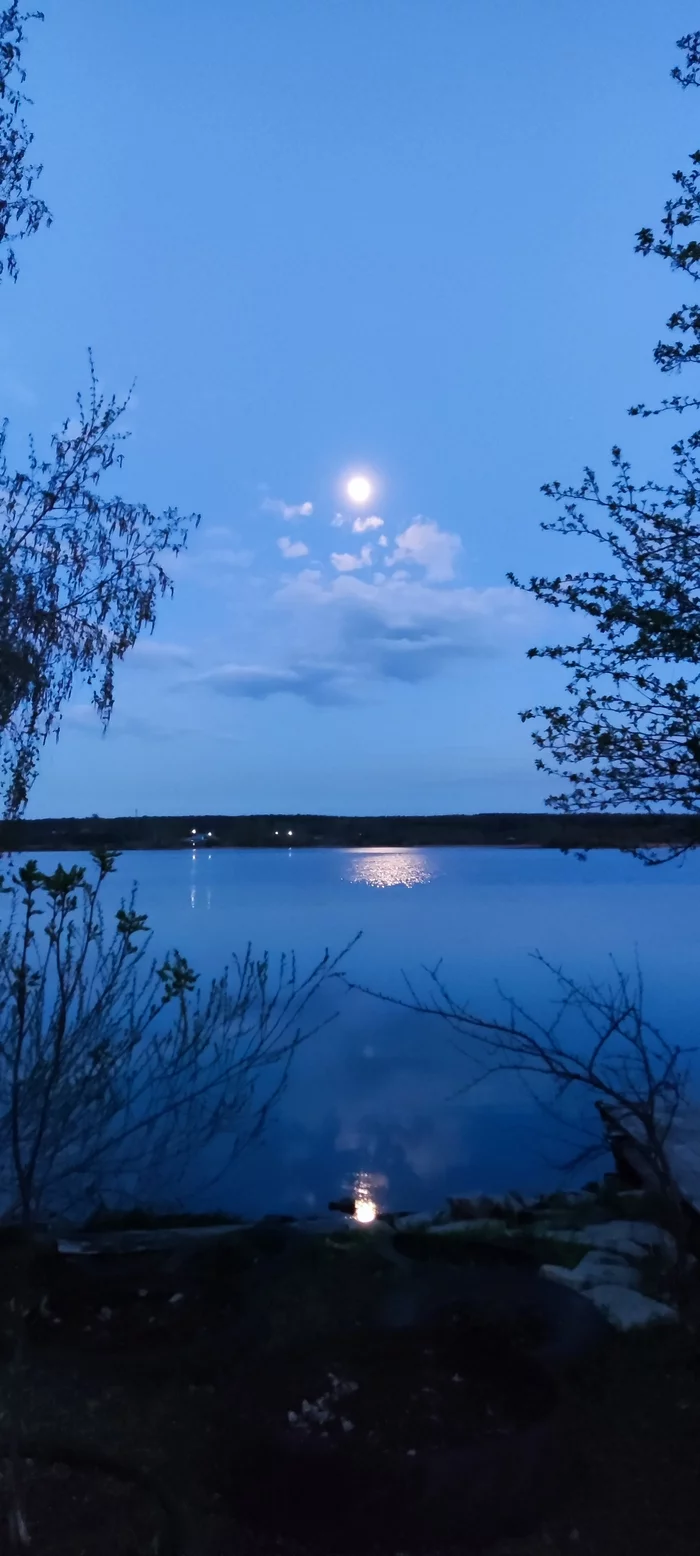 The nature of loneliness - My, Nature, Sadness, Longpost, moon