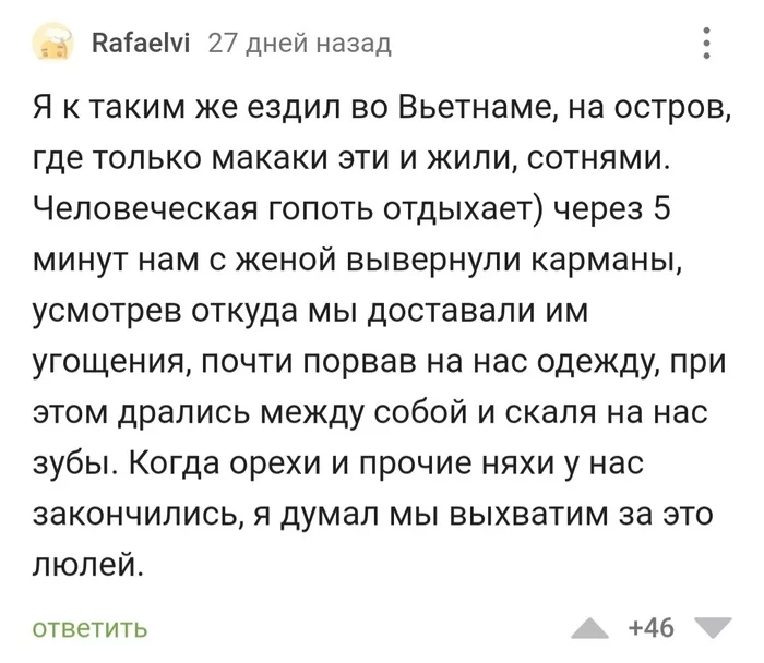 Встреча с предками как-то не задалась - Истории из жизни, Макака, Юмор, Комментарии на Пикабу, Скриншот, Длиннопост