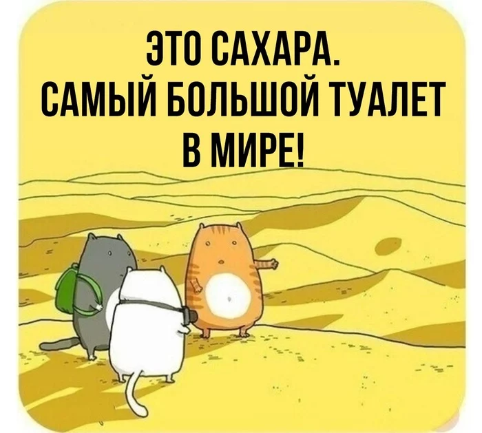 Excursion - Picture with text, Memes, cat, Repeat, Sahara