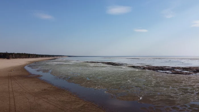 Sea - My, Quadcopter, Aerial photography, Ob sea, Novosibirsk region, The photo