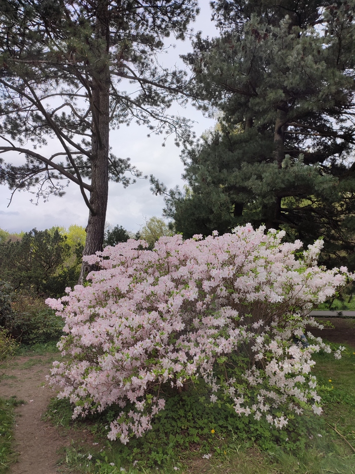 Калининград 2022 Путешествие по России, Туризм, Фотография, Отпуск, Калининград, Длиннопост