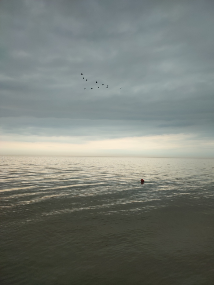 Калининград 2022 Путешествие по России, Туризм, Фотография, Отпуск, Калининград, Длиннопост