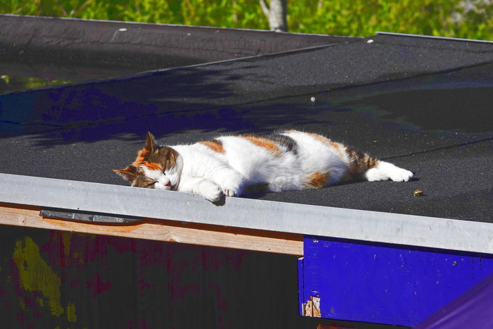 И пусть весь мир подождет...