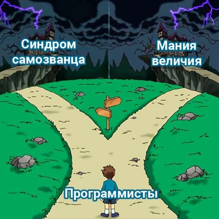 What will you choose? - Programming, Impostor, IT, Picture with text, Memes