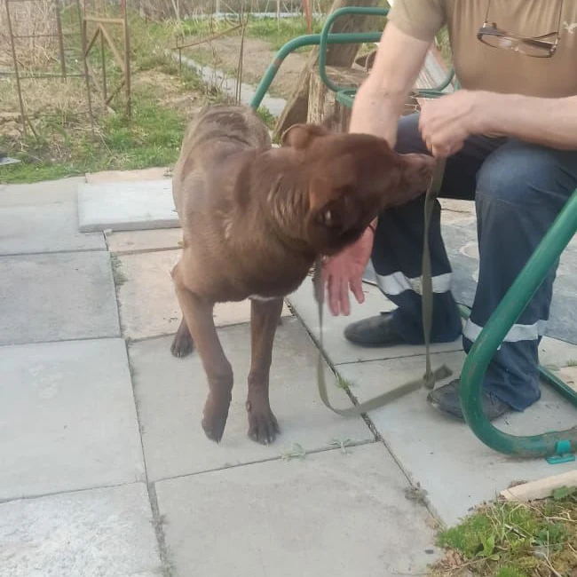 ����� ����� ��� ������ ���������, � ������� �� ���������� � ������ ������� �� ����. ��� � �� ������, � ������ ����, �����-���������, ������������� �������, ��� ��������, ���� ������, �����, ������������ �����, ����������