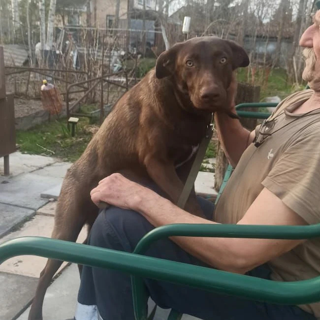 ����� ����� ��� ������ ���������, � ������� �� ���������� � ������ ������� �� ����. ��� � �� ������, � ������ ����, �����-���������, ������������� �������, ��� ��������, ���� ������, �����, ������������ �����, ����������