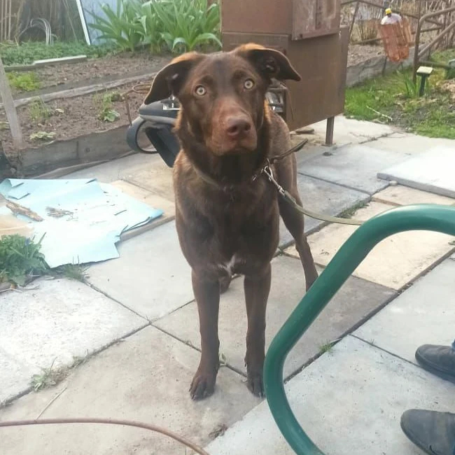 ����� ����� ��� ������ ���������, � ������� �� ���������� � ������ ������� �� ����. ��� � �� ������, � ������ ����, �����-���������, ������������� �������, ��� ��������, ���� ������, �����, ������������ �����, ����������