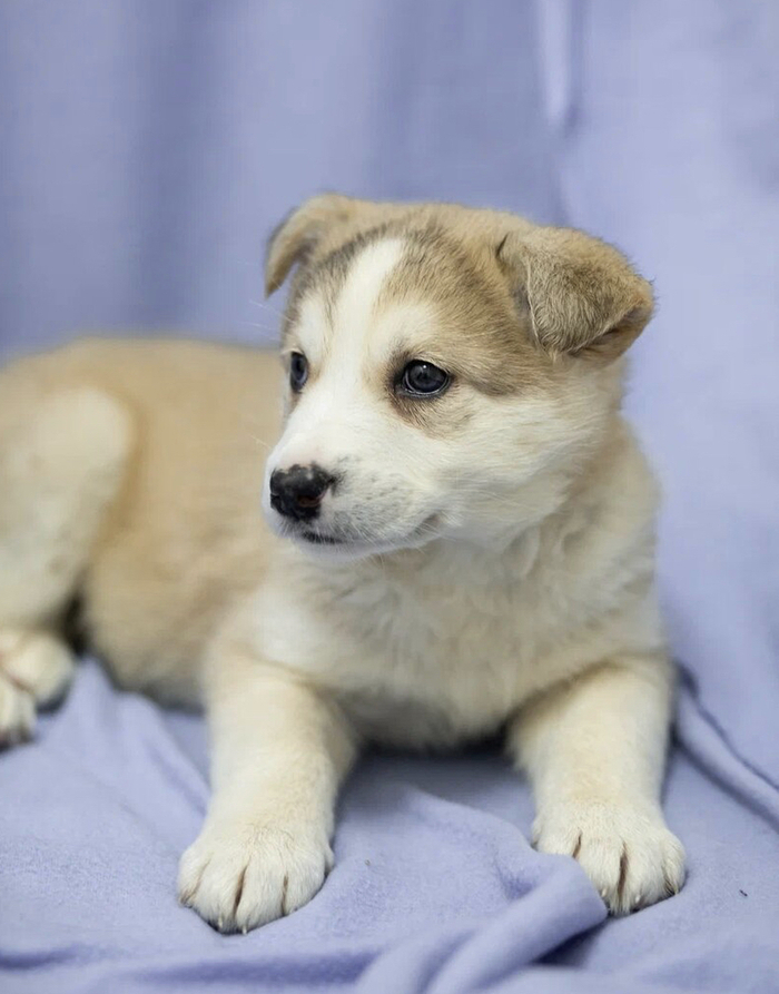 ����. ���������� ����� 2 ������. ���� � �������� ���� �����... ������, ������� �����, ������, �����, ������, ���������� �������, �����, �������� ��������, �����, ����� ��� ��������, ����������, � ������ ����, ��� ��������