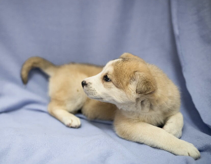 ����. ���������� ����� 2 ������. ���� � �������� ���� �����... ������, ������� �����, ������, �����, ������, ���������� �������, �����, �������� ��������, �����, ����� ��� ��������, ����������, � ������ ����, ��� ��������