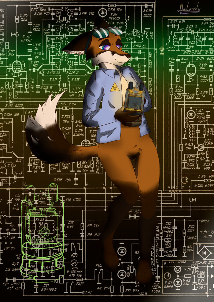  81 , , 