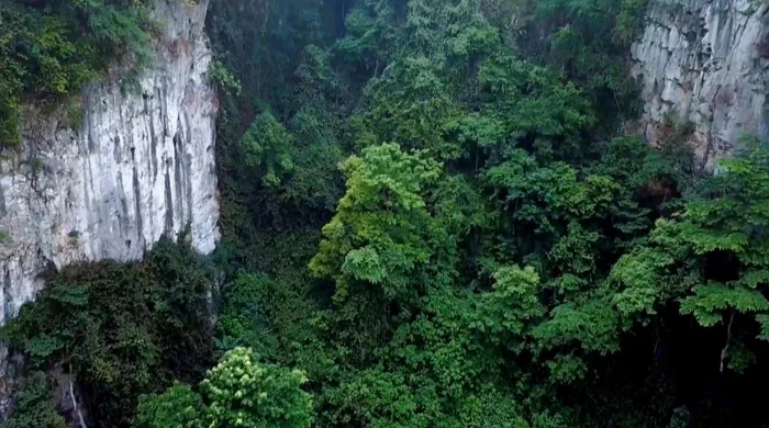 Karst sinkhole with ancient forest in China - Karst funnel, Forest, China, Speleology, Karst Sinkhole, Plants, The photo, wildlife, beauty of nature, Arguments and Facts, Longpost