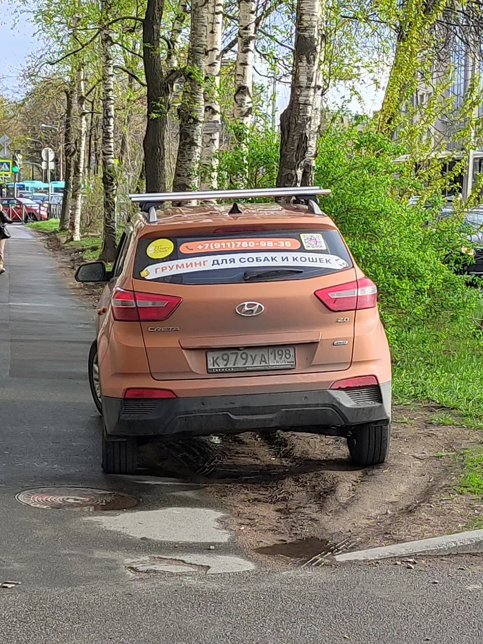 Parking on the lawn St. Petersburg - Negative, Parking, Neighbours, Traffic police, Driver, Violation, Inadequate, Lawn, Sidewalk, Saint Petersburg, Longpost