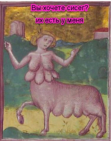 Boobs! - My, Humor, Picture with text, Suffering middle ages, Boobs