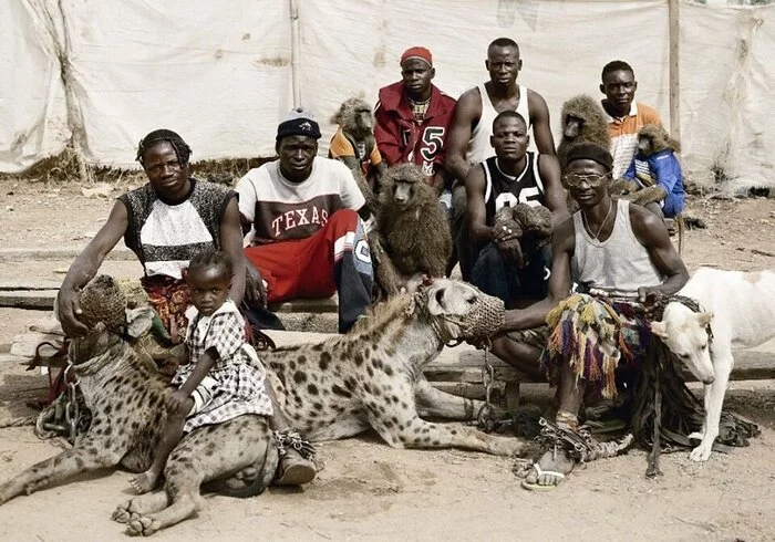 beautiful - Africa, Spotted Hyena, Black people, Dog, Together, The photo, Hyena