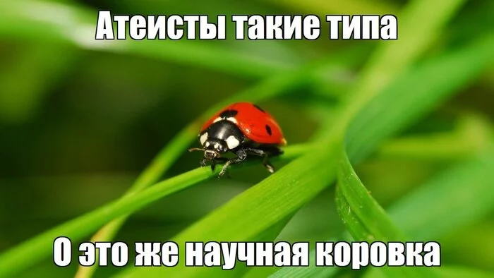 Exactly - Picture with text, ladybug, Atheism, Religion, Humor
