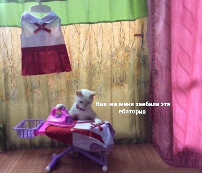 Настроение рабочая неделя...