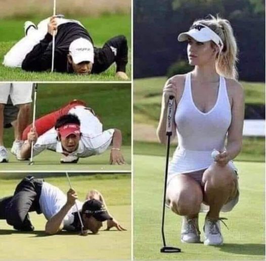 Actively looking... - Humor, The photo, Golf, Girls, Guys, Women