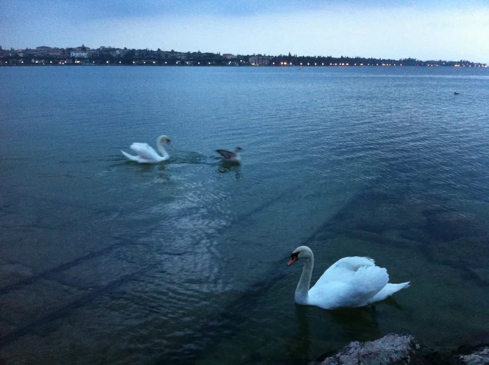 Reply to the post Sirmeone, a city-cape on the Italian lake Garda - My, Vacation, Relaxation, Hike, Italy, Lake Garda, The photo, The rocks, Fortress, Lock, Safari Park, Gardaland, Reply to post, Longpost