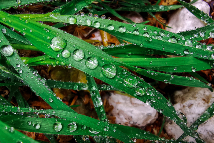 Пасмурный день с Huawei P30 Pro Фотография, Мобильная фотография, Природа, Парк, Город, Huawei, Huawei P30 PRO, Длиннопост