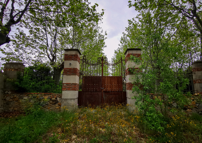 Пасмурный день с Huawei P30 Pro Фотография, Мобильная фотография, Природа, Парк, Город, Huawei, Huawei P30 PRO, Длиннопост