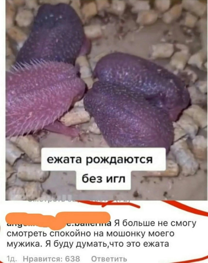 ����������� ��������