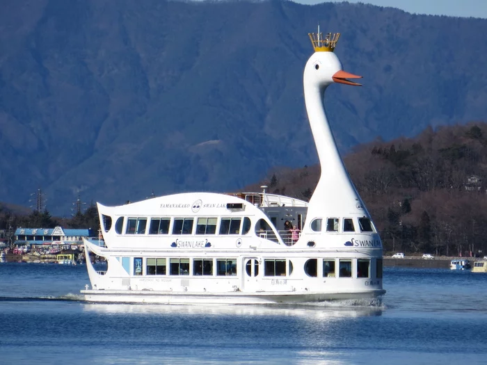 Lake Yamanaka, Japan - Vessel, Japan, Lake, Swans