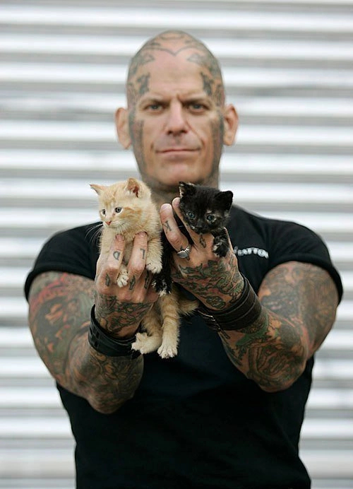 good must be with fists - Kindness, Kittens, Dog, Mafia, USA, Animal shelter, Gang, Protection, Longpost, cat