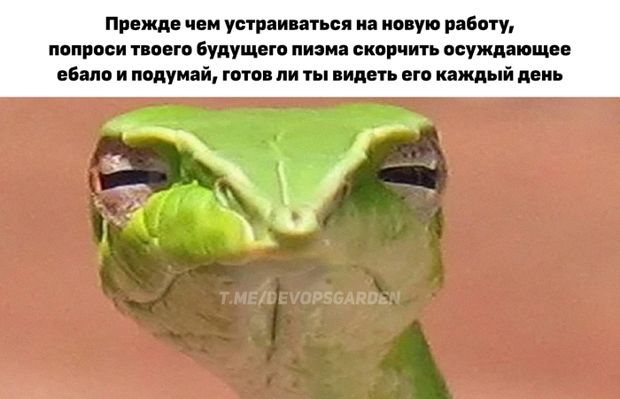 Экспресс тест