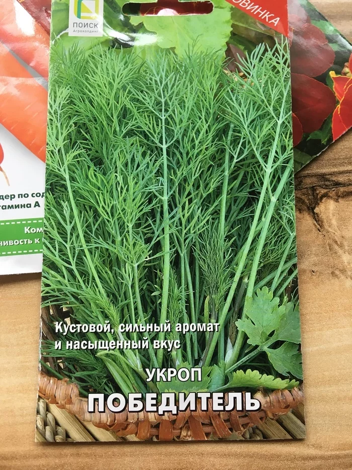 Dill - My, Dill, Funny name, Garden, Seeds