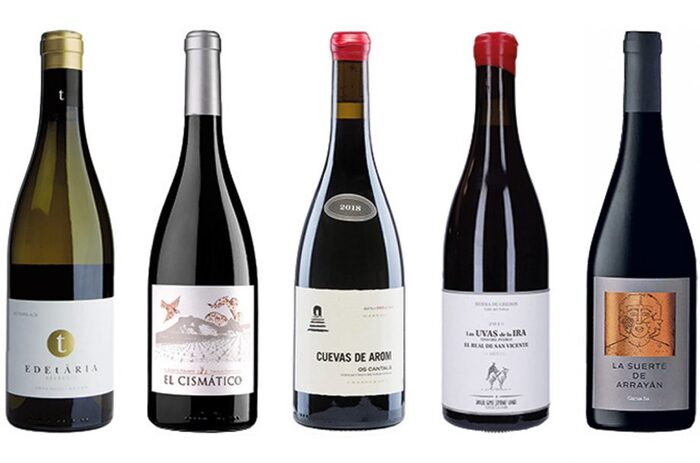 Лучшие вина из гарначи в России