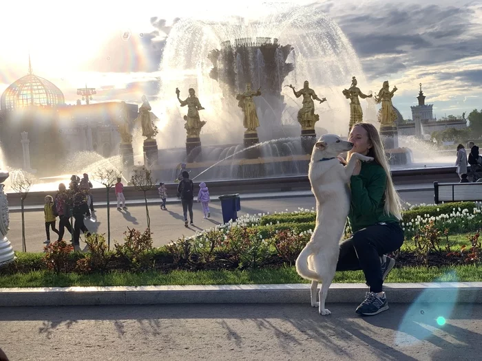 Astrid and me at VDNKh - My, Pets, Dog, Cur, VDNKh, Moscow, Good weather, Fountain